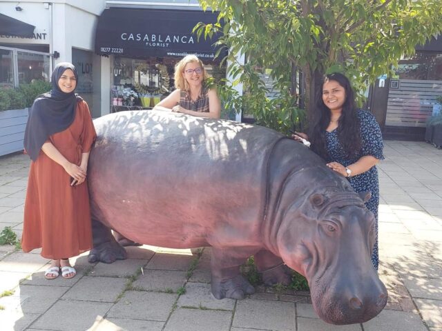 Brentwood Summer Safari