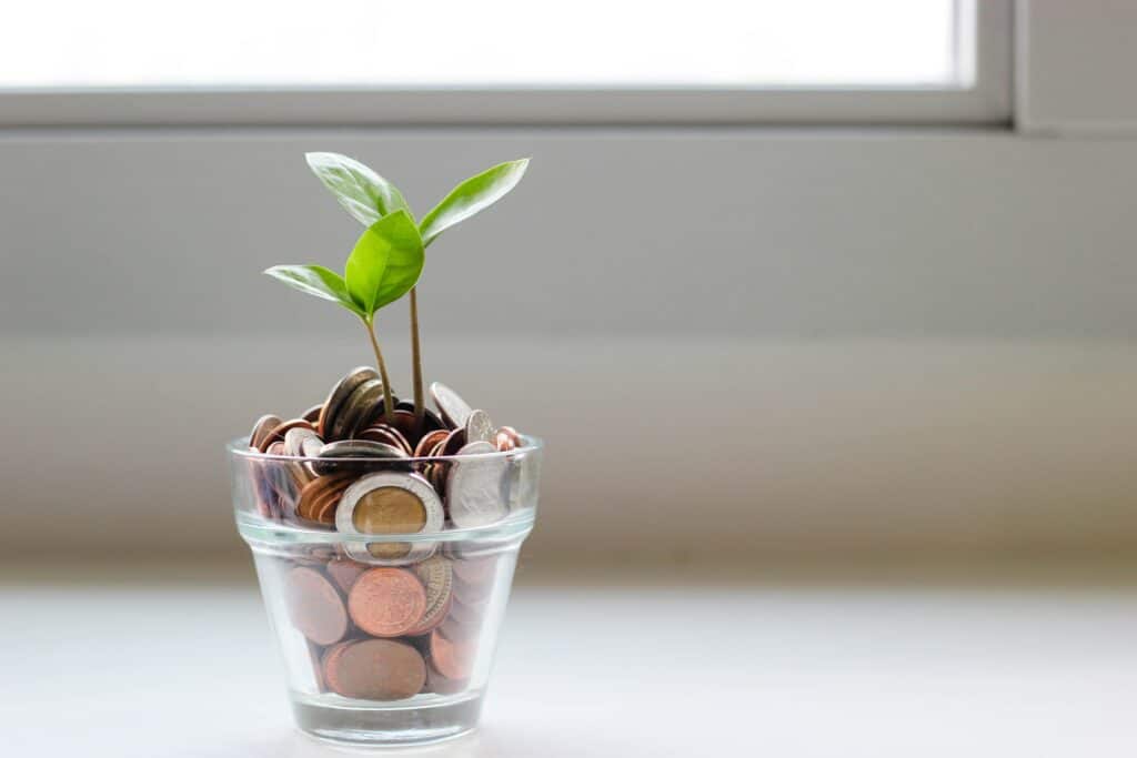 Image of a flower growing from a glass of money coins.